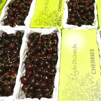 【国内现货包邮】新西兰绿盒车厘子clgde orchards 28-34mm 2kg装